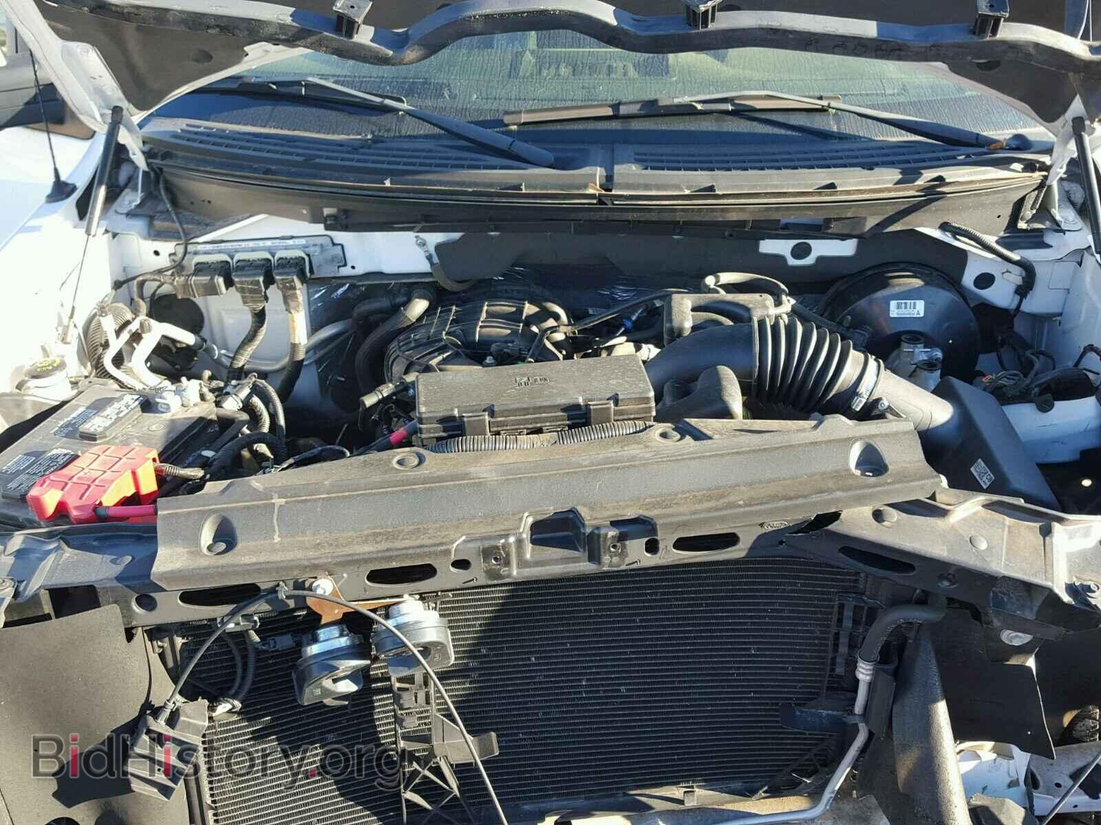 2013 FORD F150 - VIN: 1FTMF1CM3DFD45658 - Фото 7