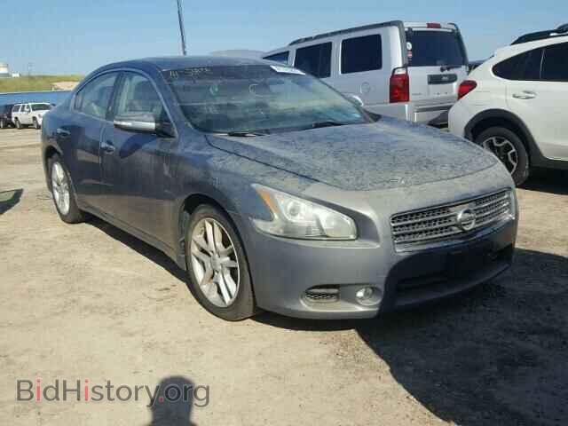 Photo 1N4AA5AP3AC827829 - NISSAN MAXIMA 2010