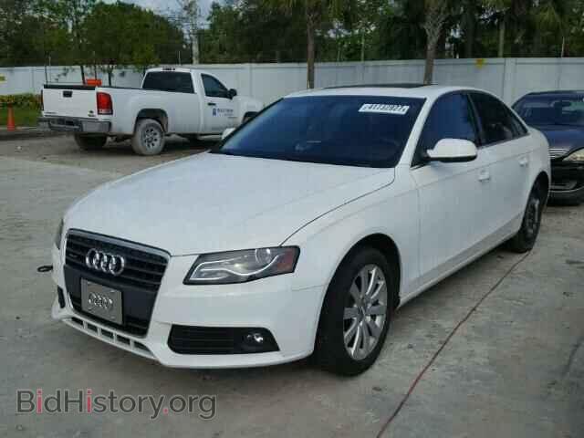 2012 AUDI A4 - VIN: WAUBFAFLXCN004284 - Фото 2