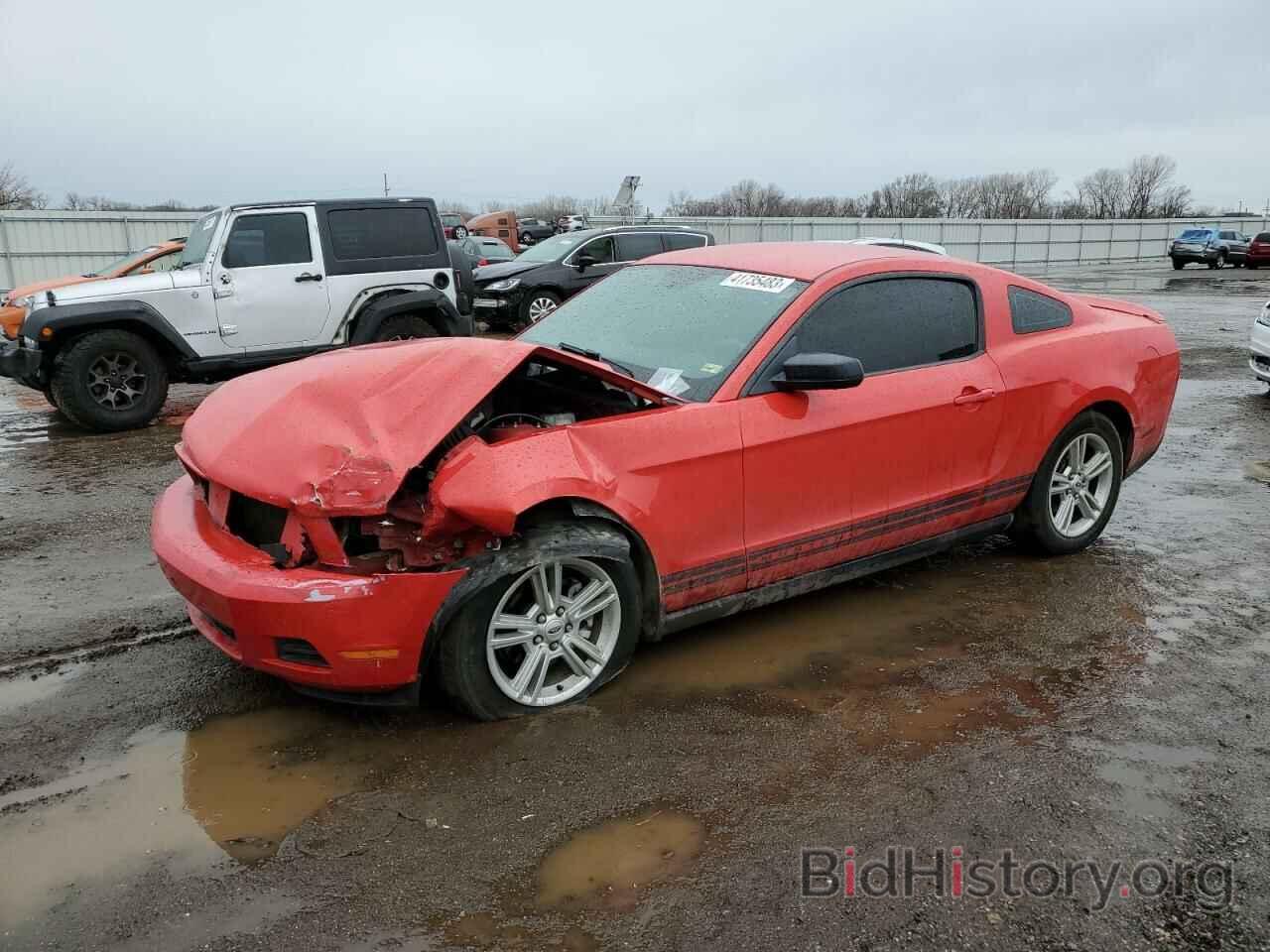 Photo 1ZVBP8AN7A5125589 - FORD MUSTANG 2010