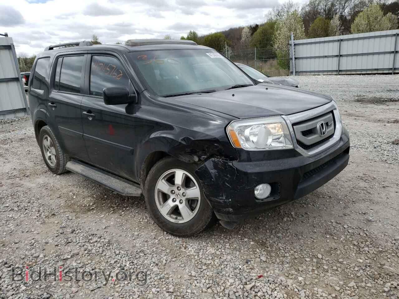Фотография 5FNYF4H54BB085230 - HONDA PILOT 2011