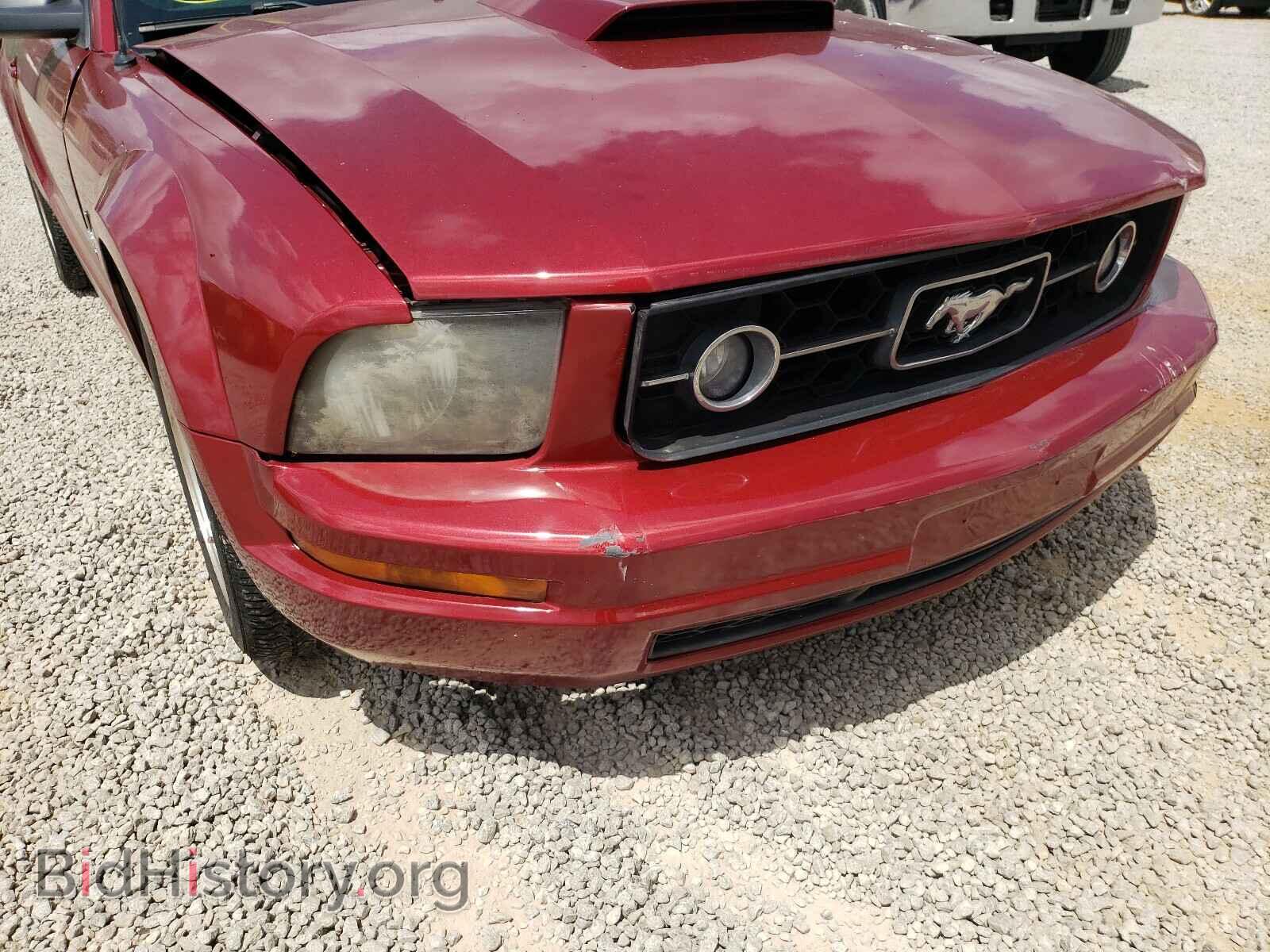 2006 FORD MUSTANG - VIN: 1ZVFT80N165128509 - Фото 9