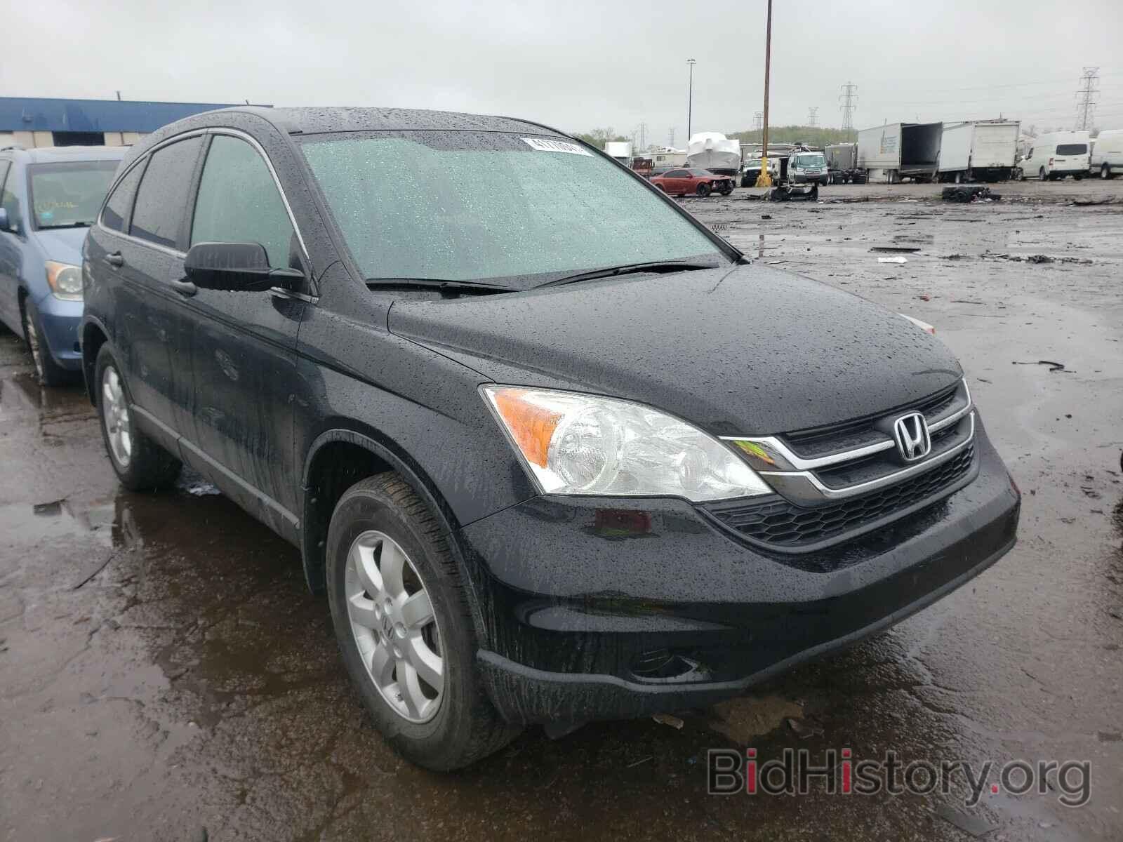 Photo 5J6RE4H42BL116531 - HONDA CRV 2011