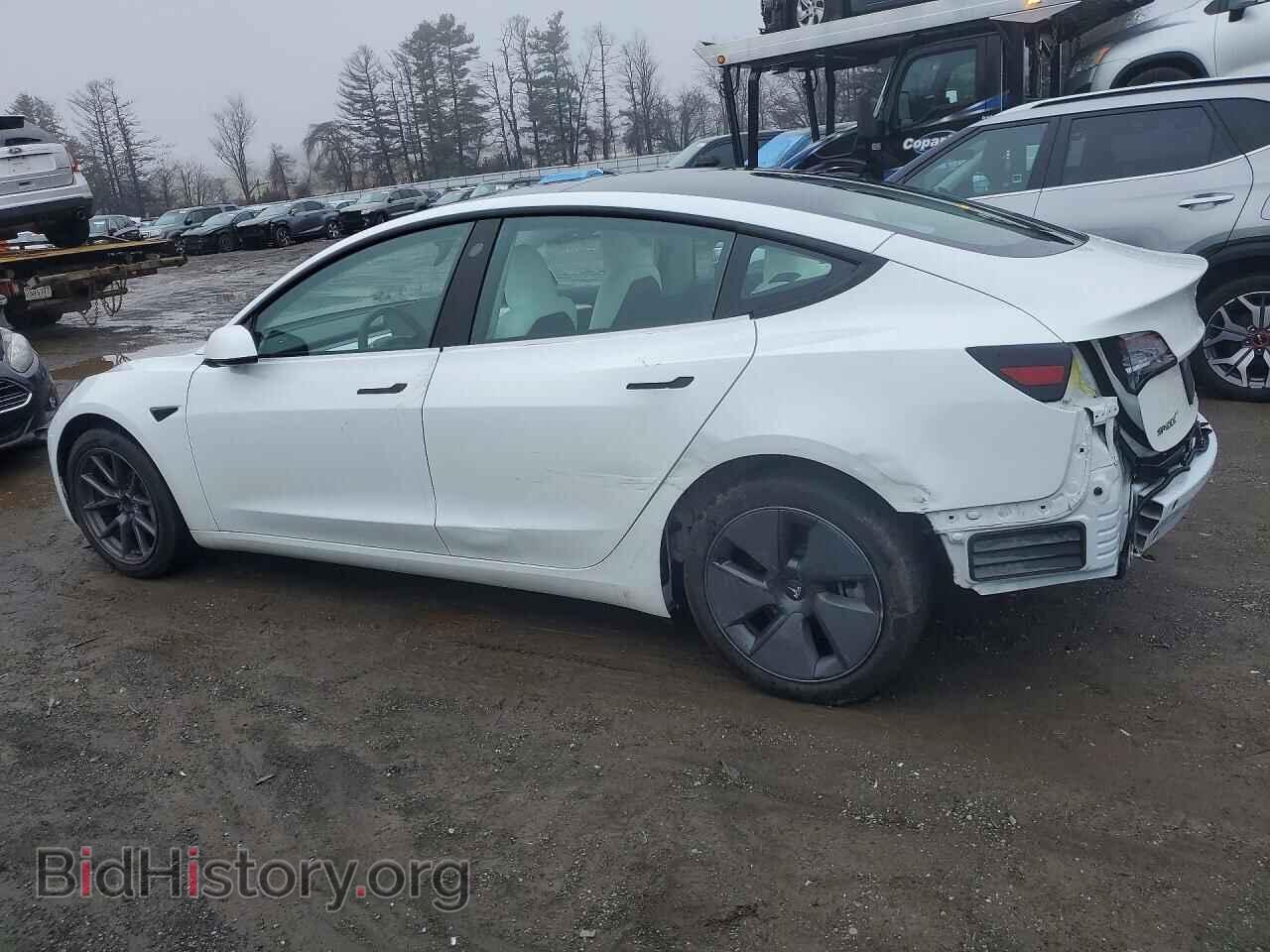 2023 TESLA MODEL 3 - VIN: 5YJ3E1EA5PF495832 - Фото 2
