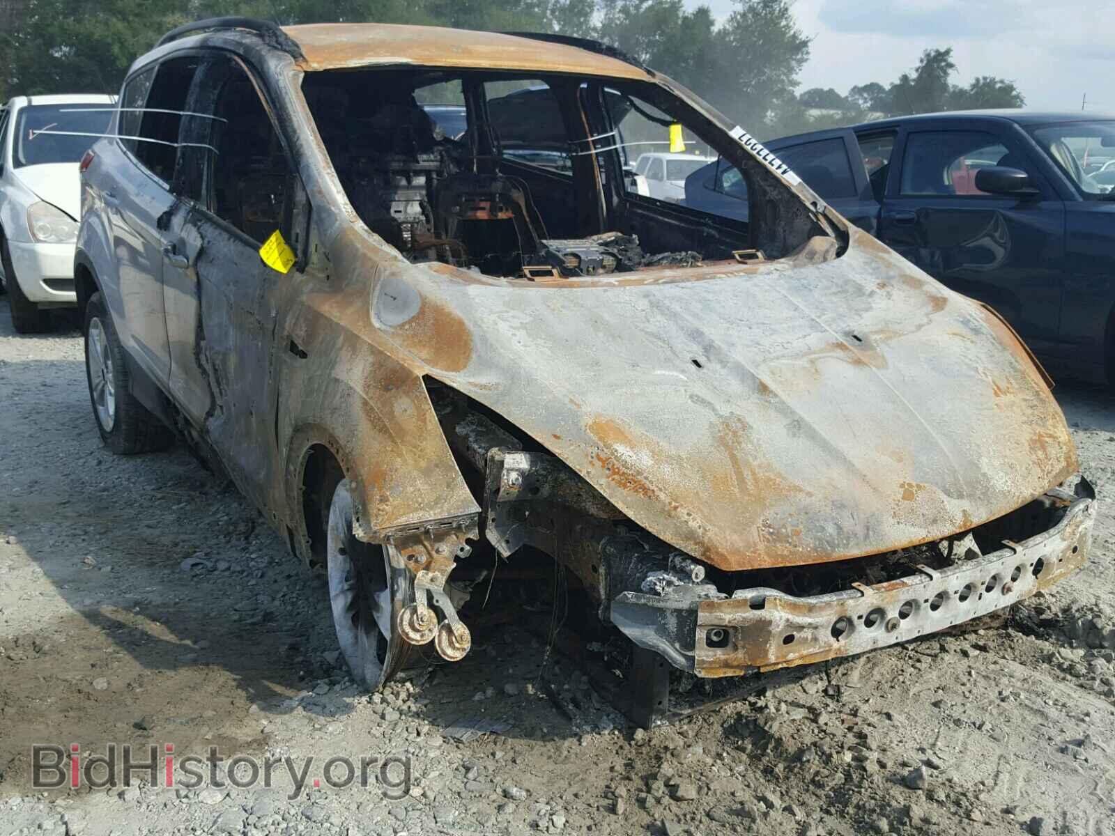 Фотография 1FMCU0GX5EUC02218 - FORD ESCAPE 2014