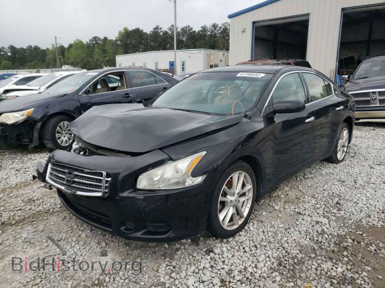 2011 NISSAN MAXIMA - VIN: 1N4AA5AP4BC861103 - Фото 2