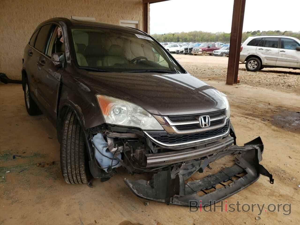 Photo 5J6RE3H76AL024633 - HONDA CRV 2010