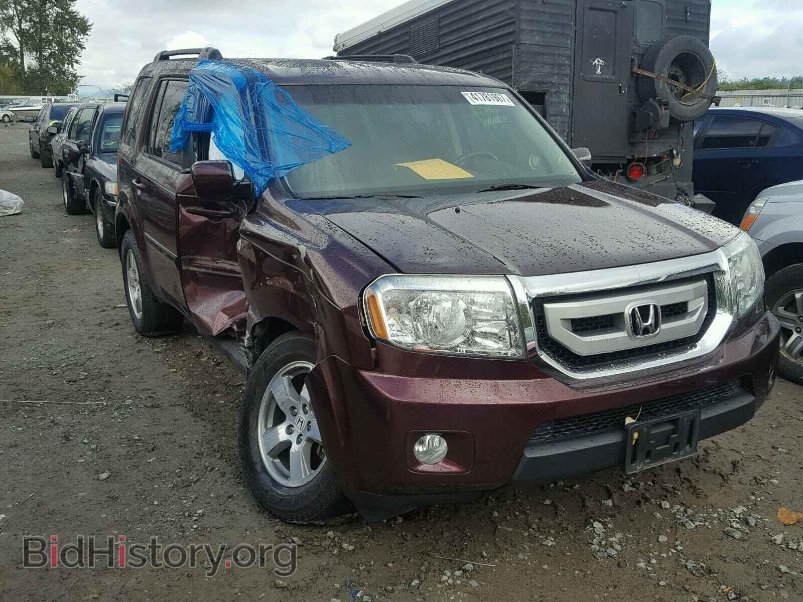 Фотография 5FNYF4H71BB033152 - HONDA PILOT 2011