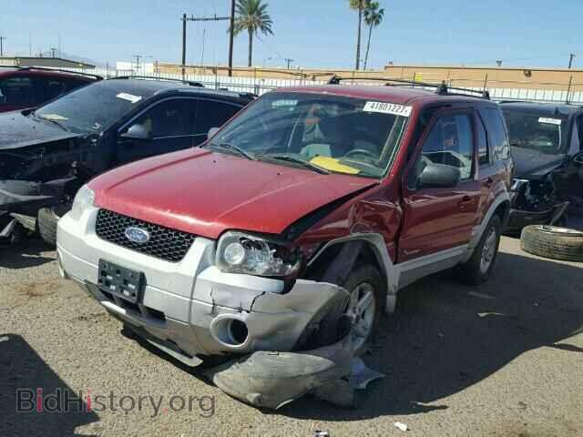 2006 FORD ESCAPE - VIN: 1FMCU95H46KC66182 - Фото 2