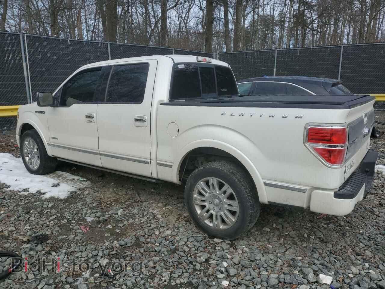 2013 FORD F-150 - VIN: 1FTFW1CT3DFB36677 - Фото 2