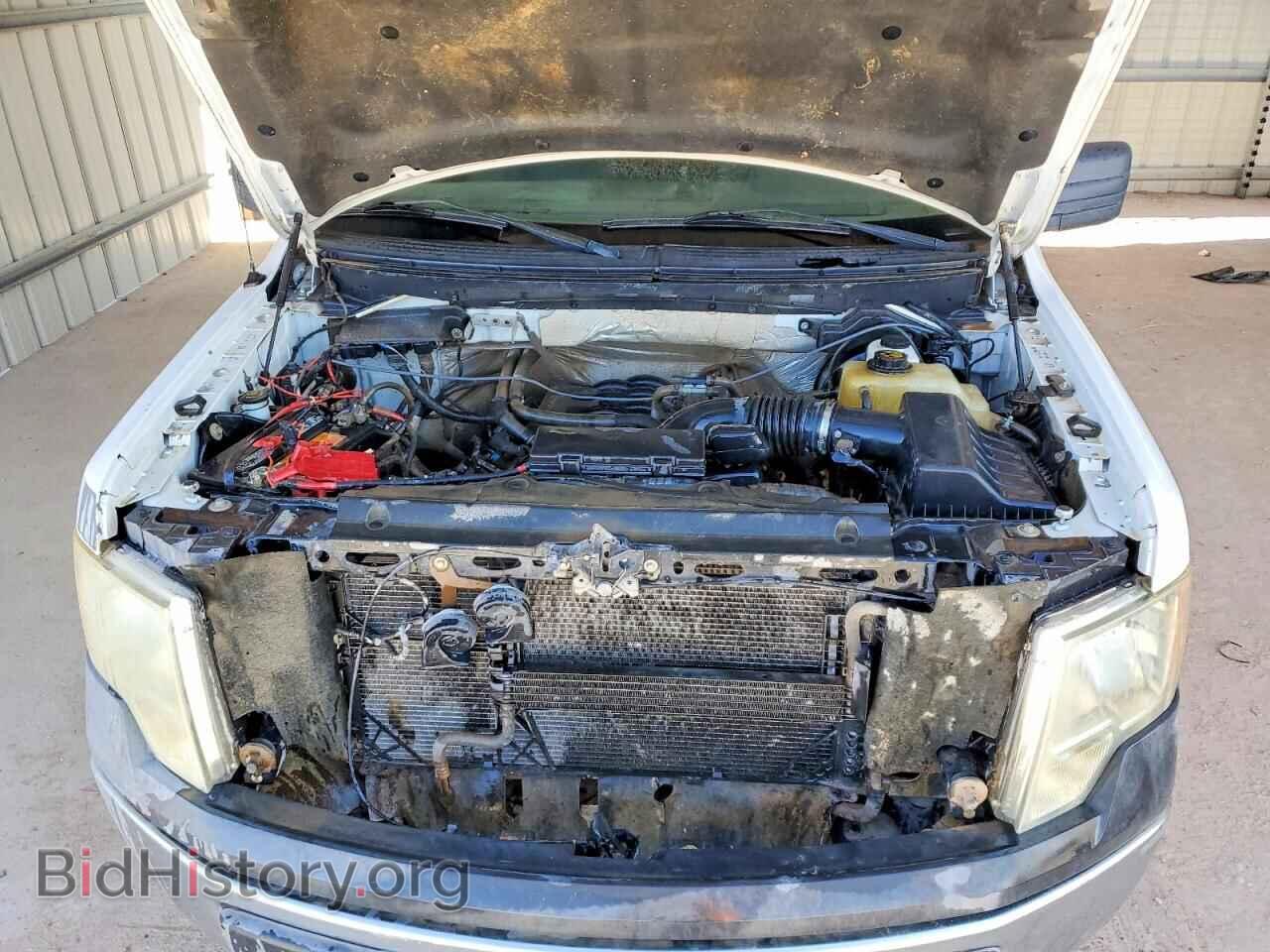 2011 FORD F150 - VIN: 1FTVX1EF1BKD95091 - Фото 11