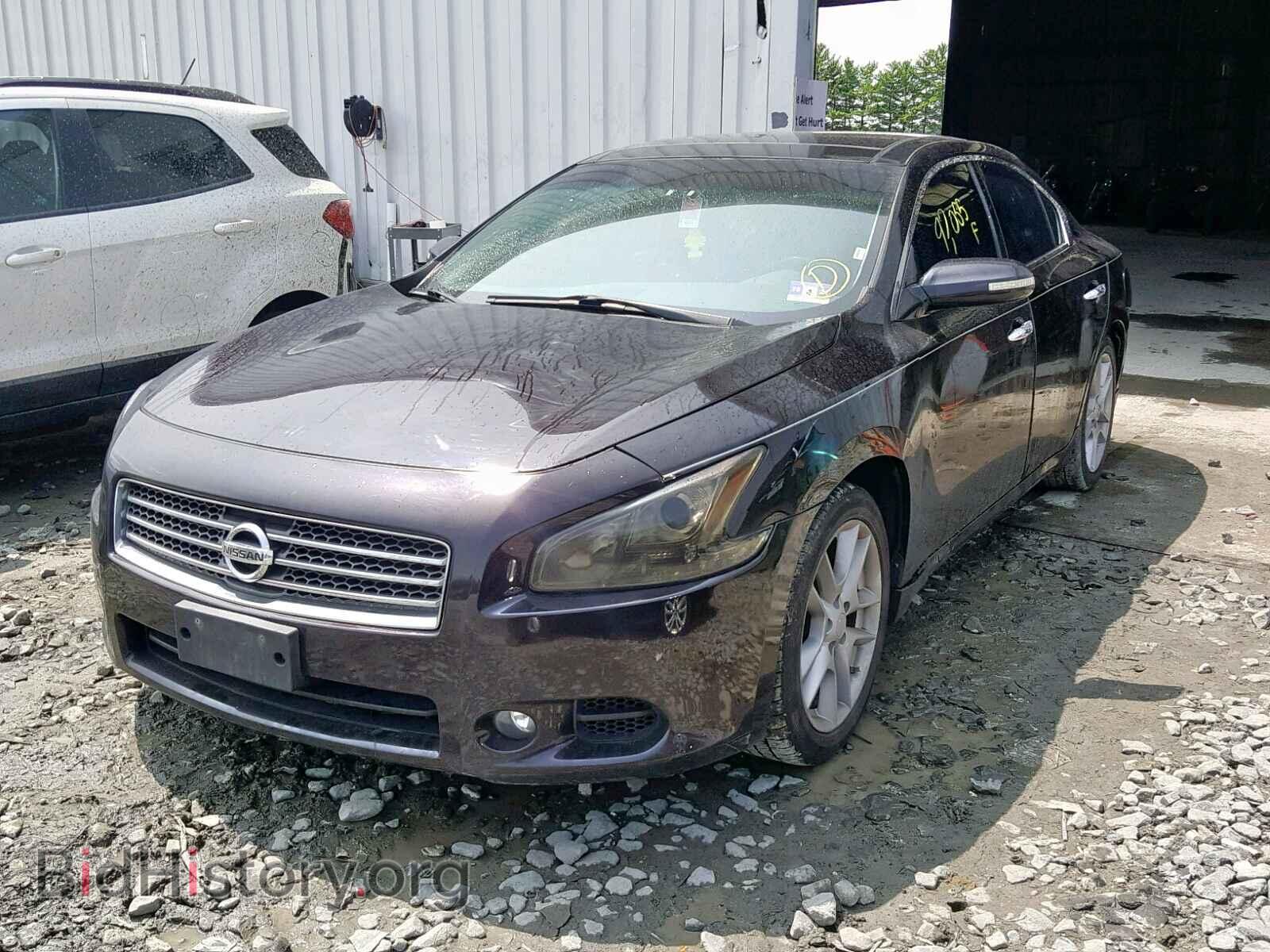 2010 NISSAN MAXIMA S - VIN: 1N4AA5AP1AC862627 - Фото 2