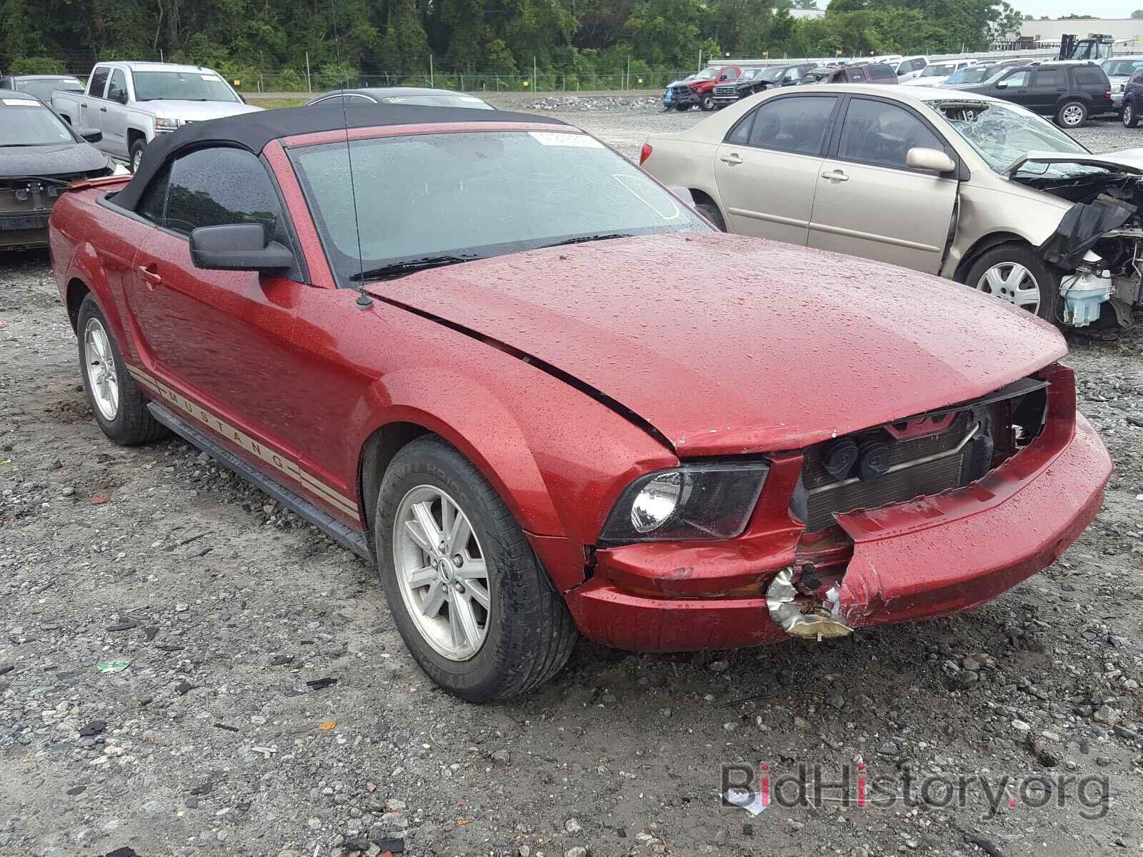 Photo 1ZVFT84N575249846 - FORD MUSTANG 2007