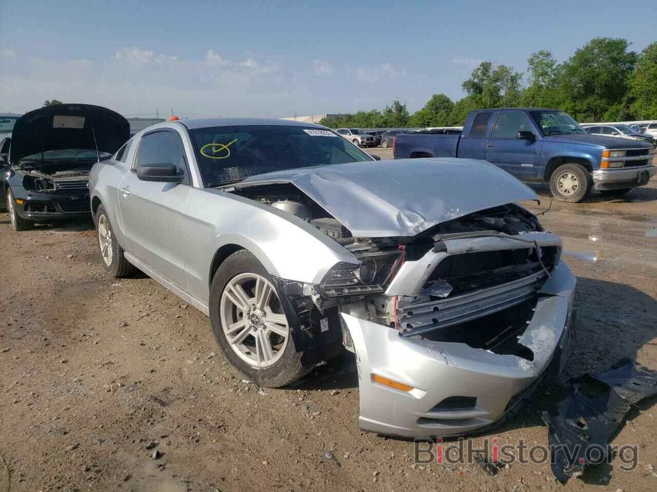 Photo 1ZVBP8AM9E5274373 - FORD MUSTANG 2014