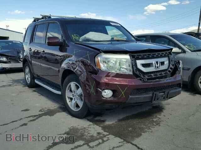 Фотография 5FNYF4H74BB024123 - HONDA PILOT 2011
