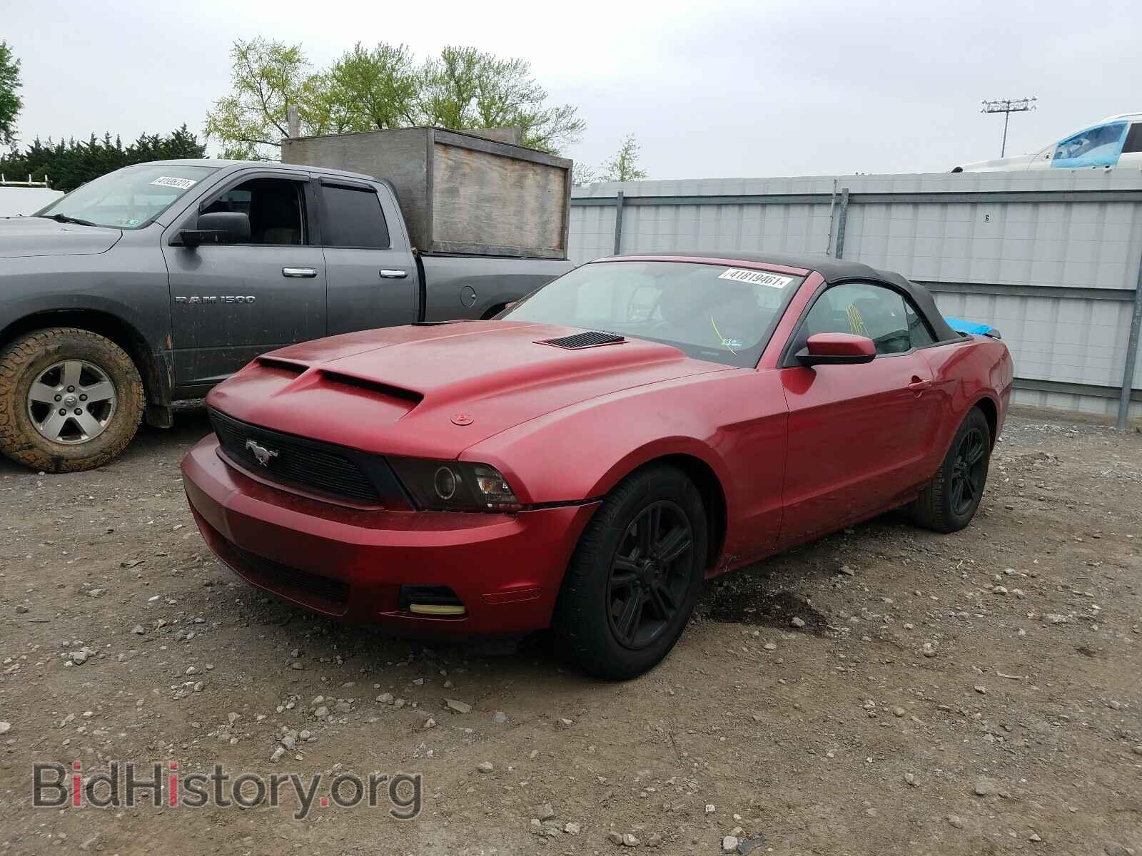 2011 FORD MUSTANG - VIN: 1ZVBP8EM0B5144407 - Фото 2