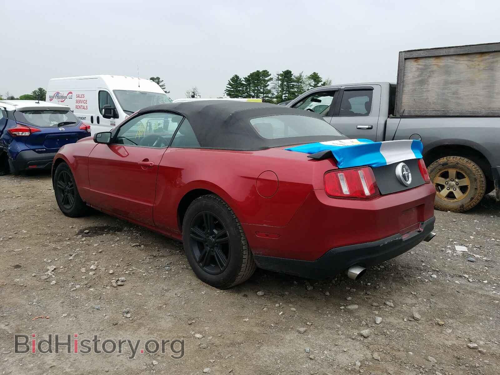 2011 FORD MUSTANG - VIN: 1ZVBP8EM0B5144407 - Фото 3