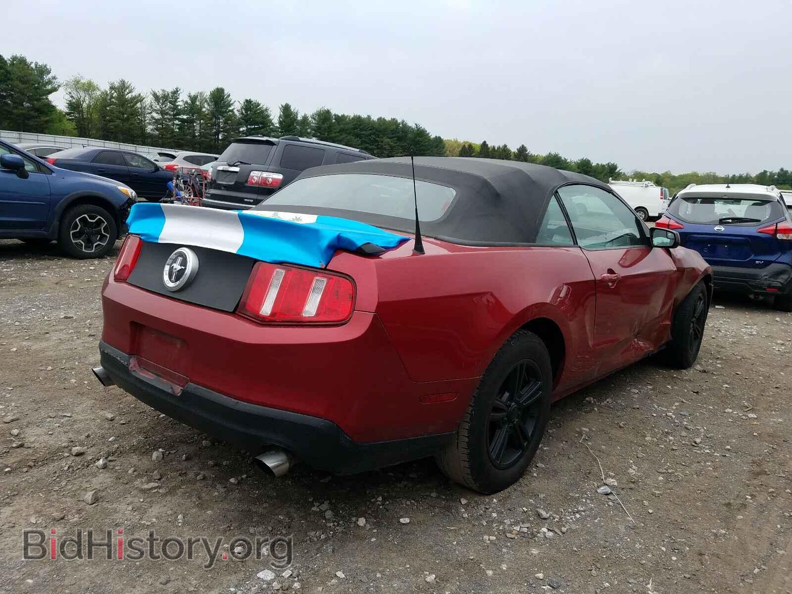 2011 FORD MUSTANG - VIN: 1ZVBP8EM0B5144407 - Фото 4