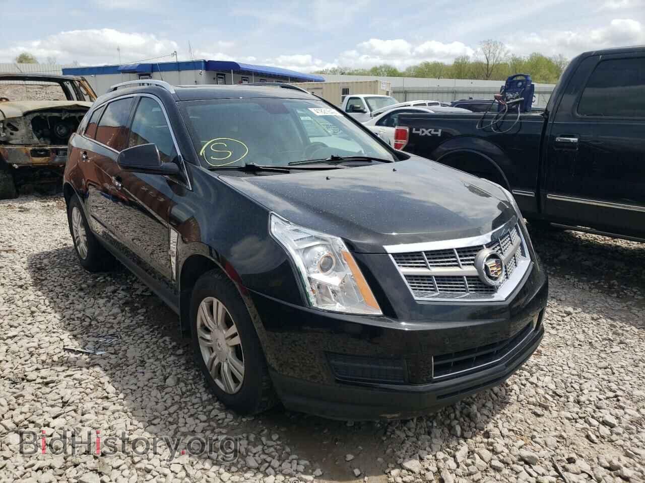 Фотография 3GYFNAEY4BS662525 - CADILLAC SRX 2011