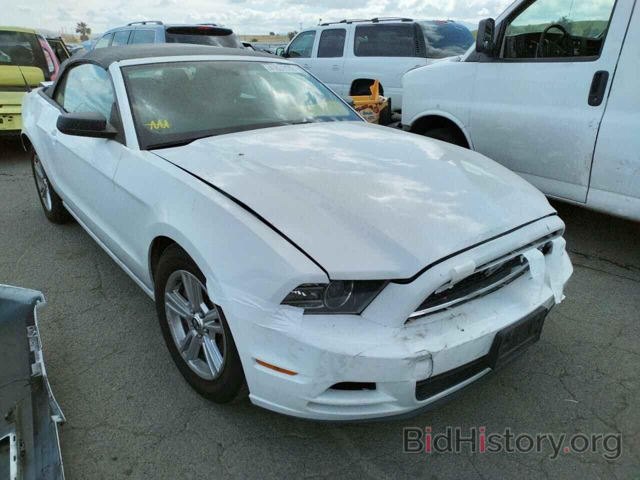 Photo 1ZVBP8EMXE5297008 - FORD MUSTANG 2014
