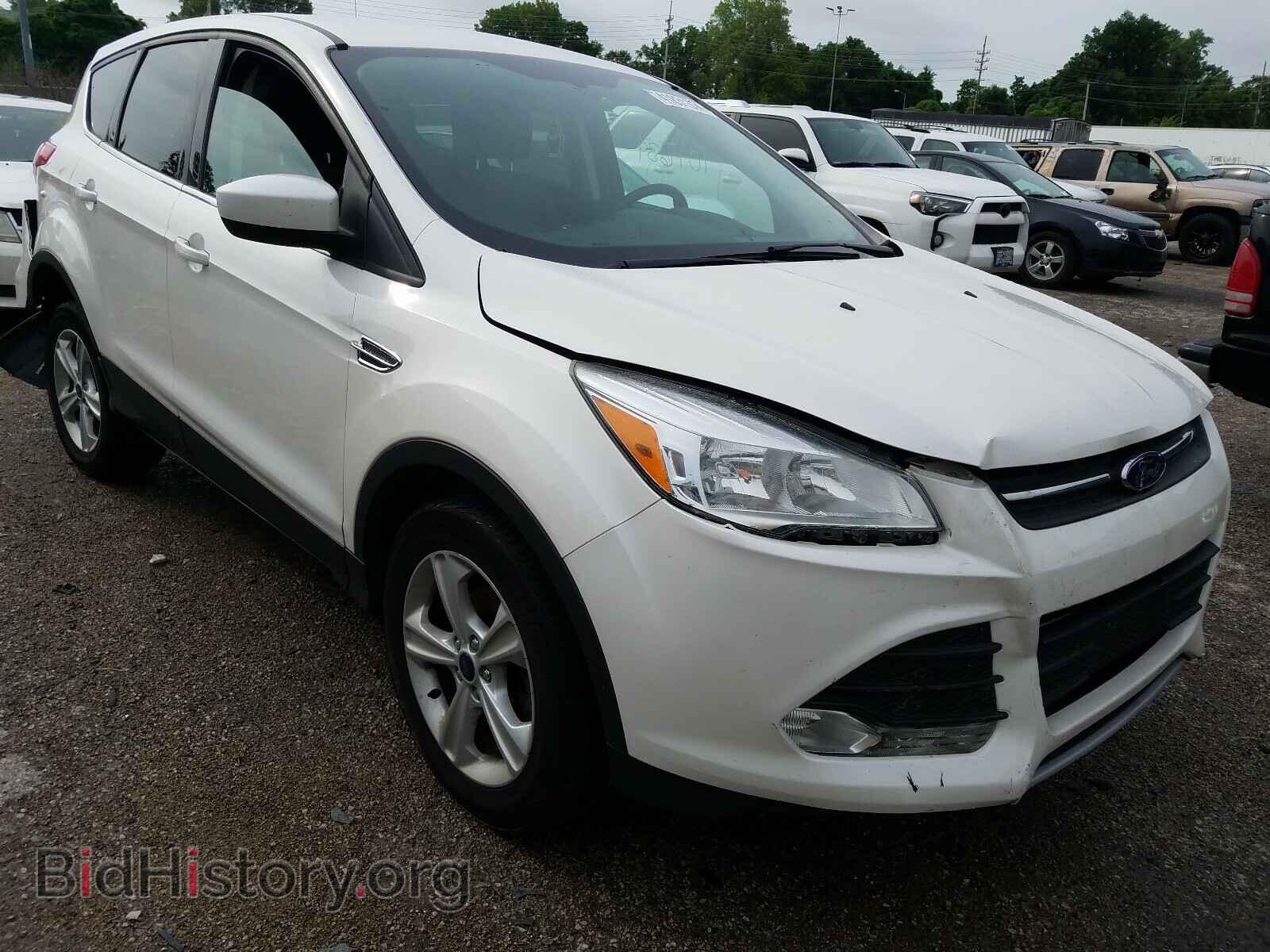 Photo 1FMCU0GX3EUB60244 - FORD ESCAPE 2014