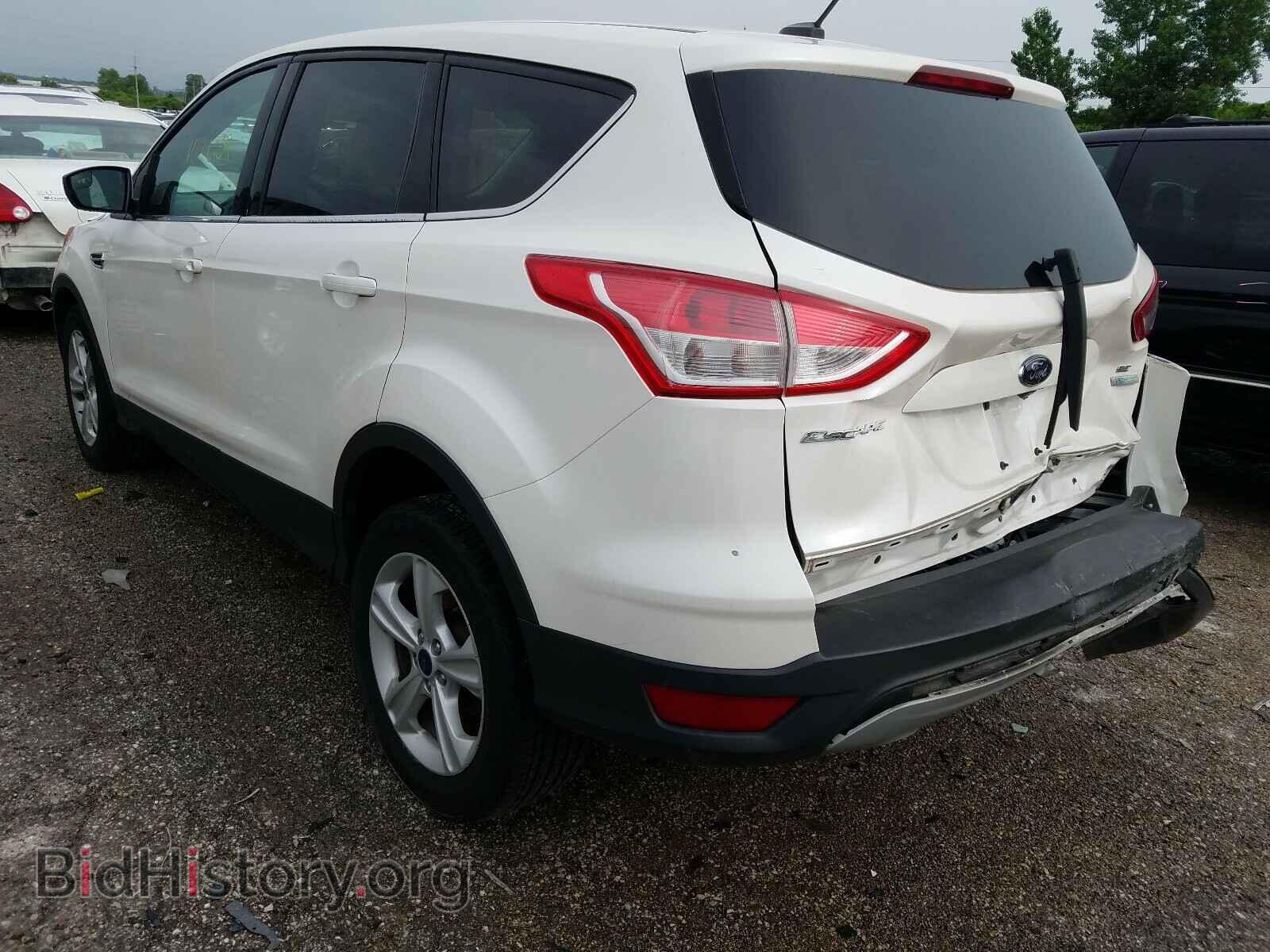 2014 FORD ESCAPE - VIN: 1FMCU0GX3EUB60244 - Photo 3