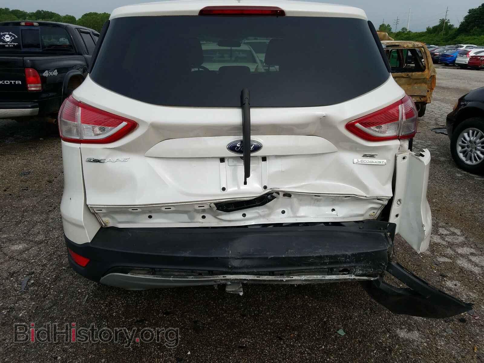 2014 FORD ESCAPE - VIN: 1FMCU0GX3EUB60244 - Photo 9