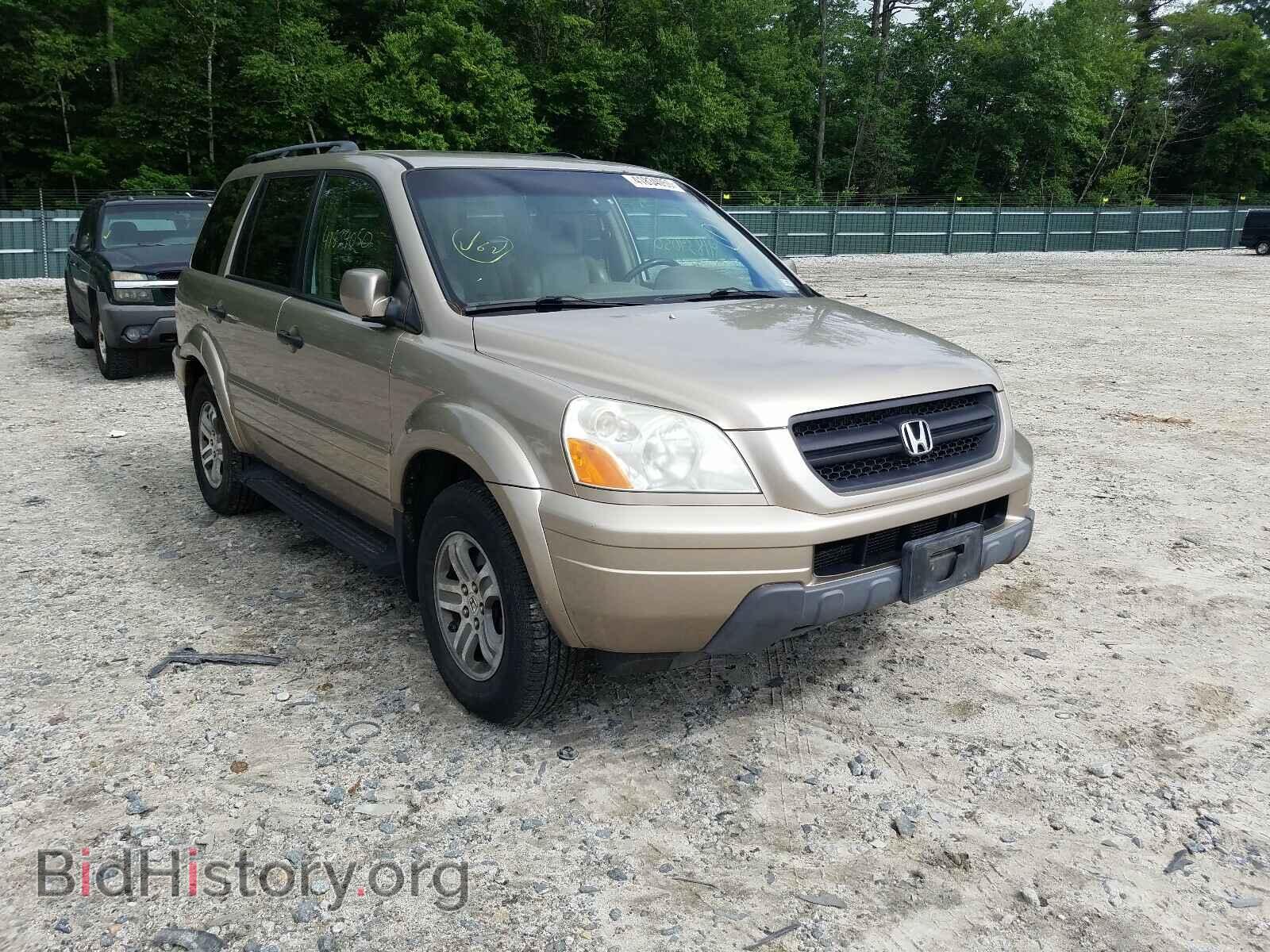 Photo 5FNYF18585B051259 - HONDA PILOT 2005