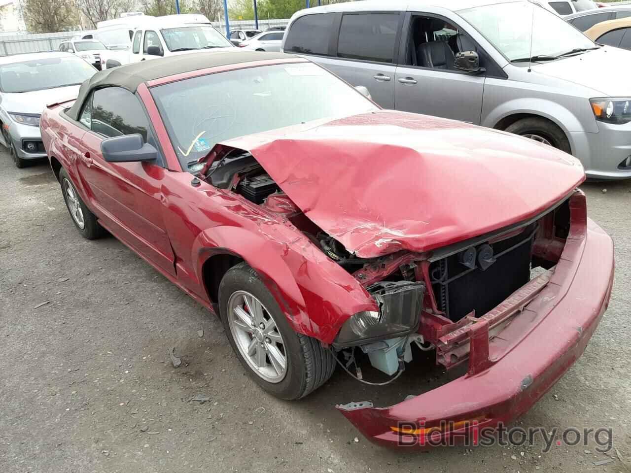 Photo 1ZVHT84N185188005 - FORD MUSTANG 2008