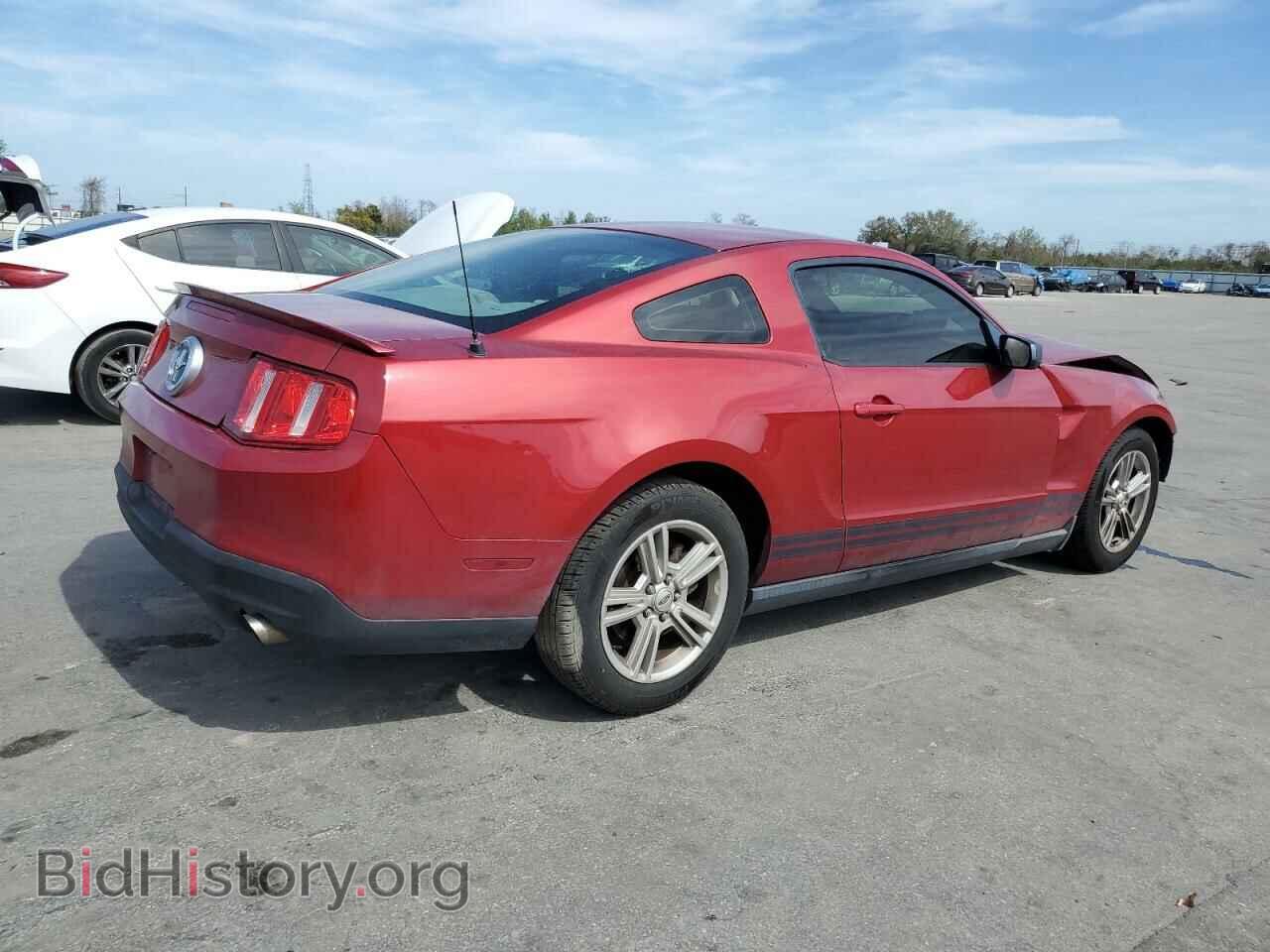 2010 FORD MUSTANG - VIN: 1ZVBP8AN3A5158864 - Фото 3