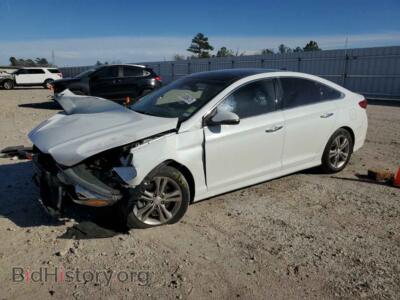 2019 Hyundai SONATA Sonata LIM, white — VIN 5NPE34AF3KH816472, Copart