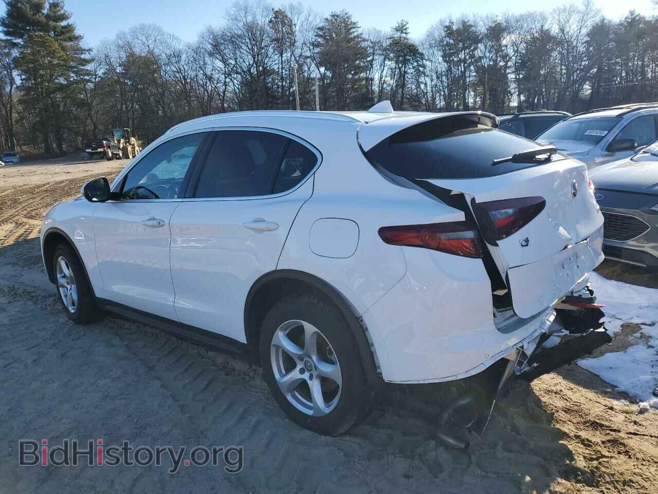 2019 ALFA ROMEO STELVIO - VIN: ZASPAKAN6K7C71602 - Фото 2