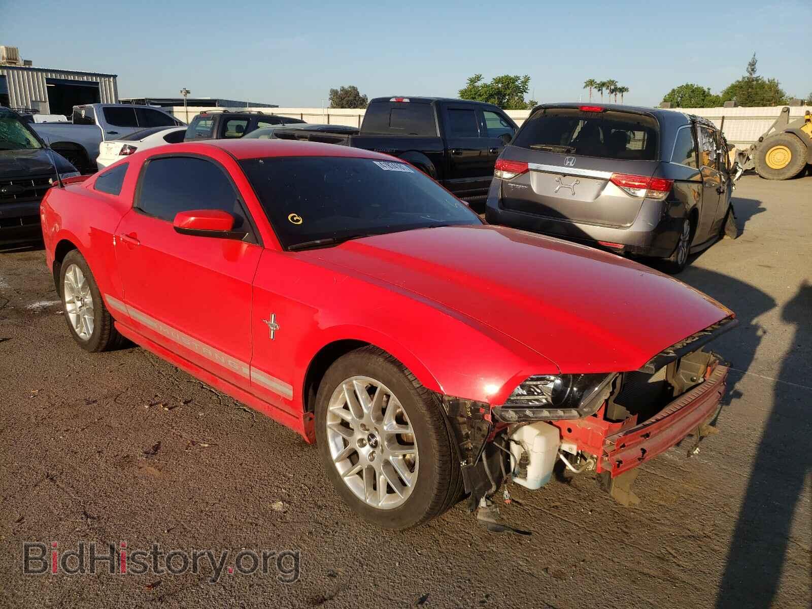 Photo 1ZVBP8AM5D5206490 - FORD MUSTANG 2013
