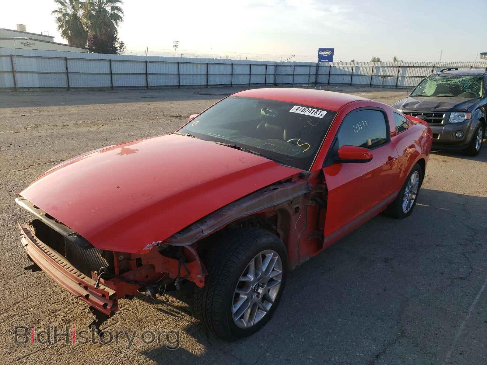 2013 FORD MUSTANG - VIN: 1ZVBP8AM5D5206490 - Фото 2