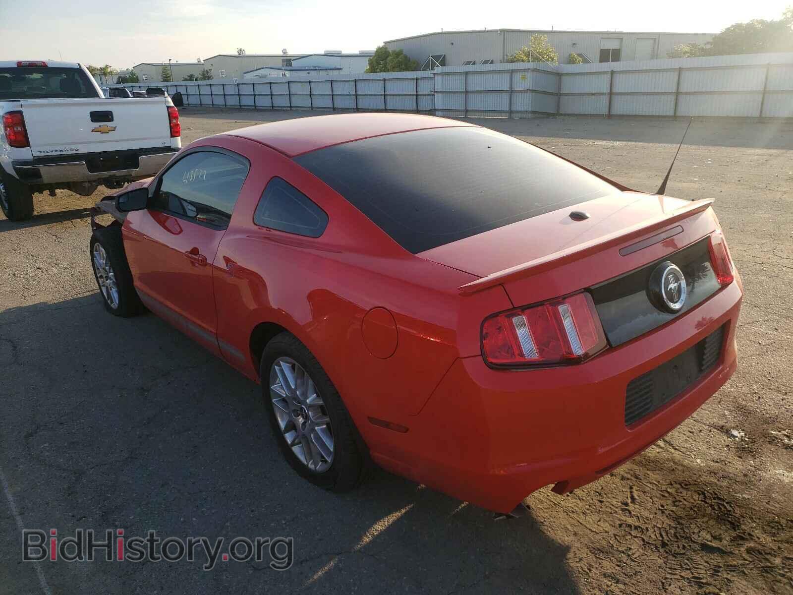 2013 FORD MUSTANG - VIN: 1ZVBP8AM5D5206490 - Фото 3