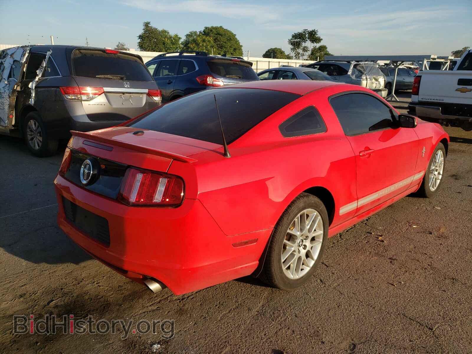 2013 FORD MUSTANG - VIN: 1ZVBP8AM5D5206490 - Фото 4