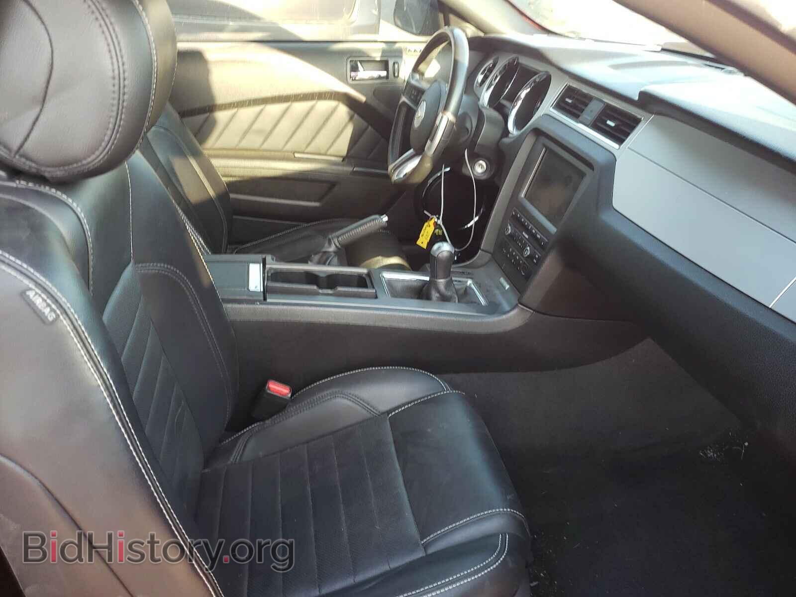 2013 FORD MUSTANG - VIN: 1ZVBP8AM5D5206490 - Фото 5