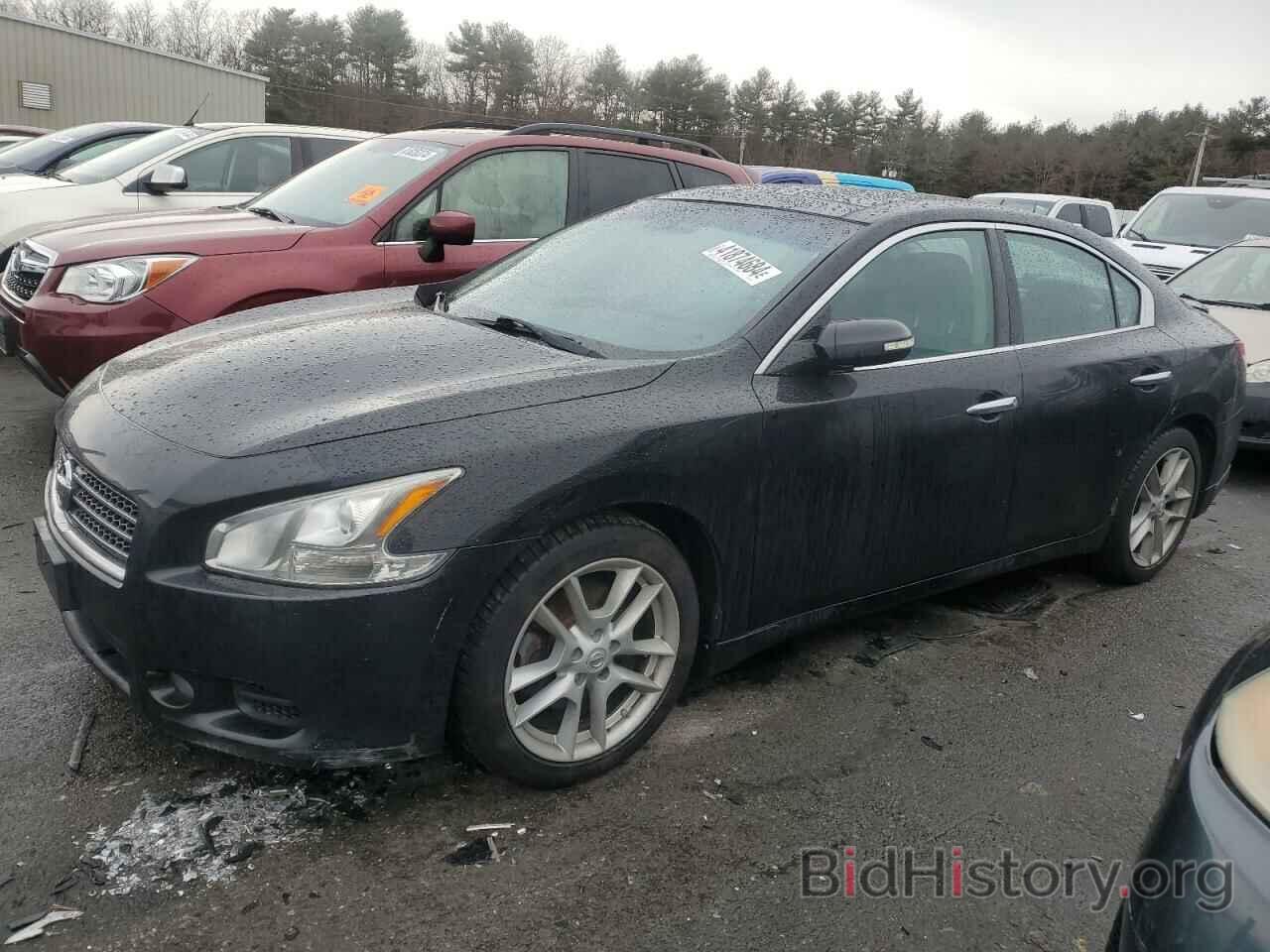 Photo 1N4AA5AP0BC816496 - NISSAN MAXIMA 2011