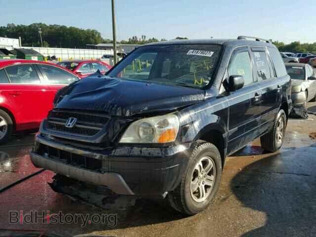 2005 HONDA PILOT - VIN: 5FNYF18495B046711 - Photo 2