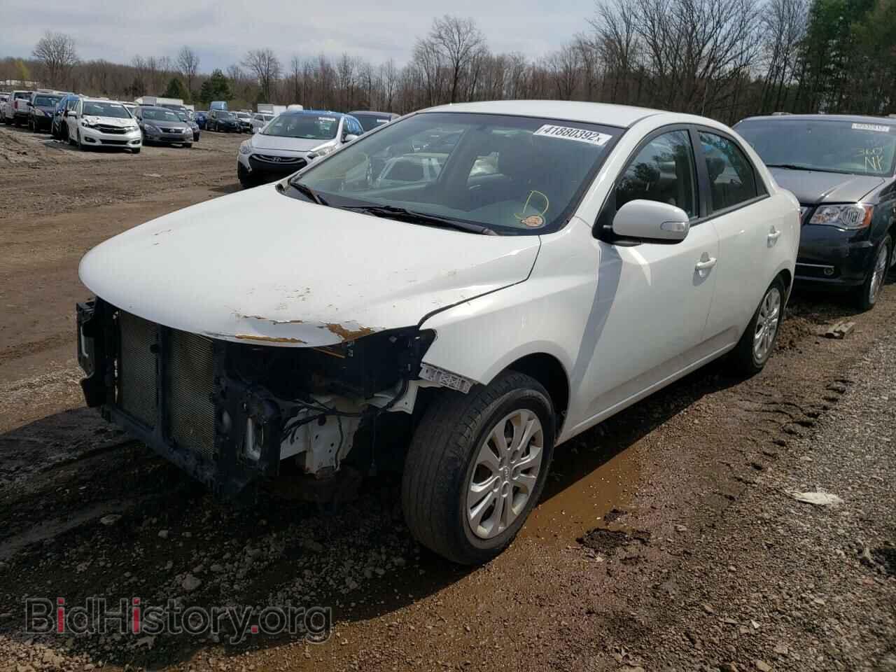 2010 KIA FORTE - VIN: KNAFU4A22A5124360 - Фото 2