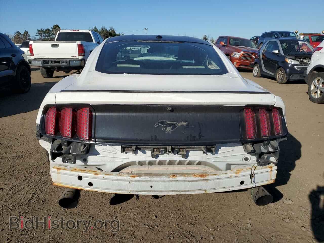 2017 FORD ALL Models - VIN: 1FA6P8TH7H5273365 - Фото 6