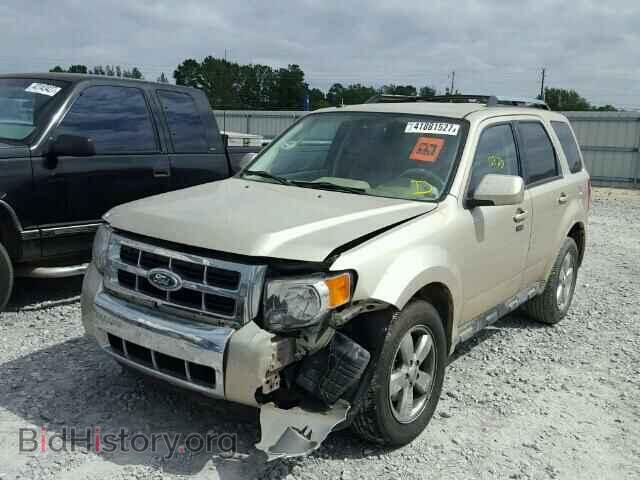 2011 FORD ESCAPE - VIN: 1FMCU0E76BKA52808 - Photo 2