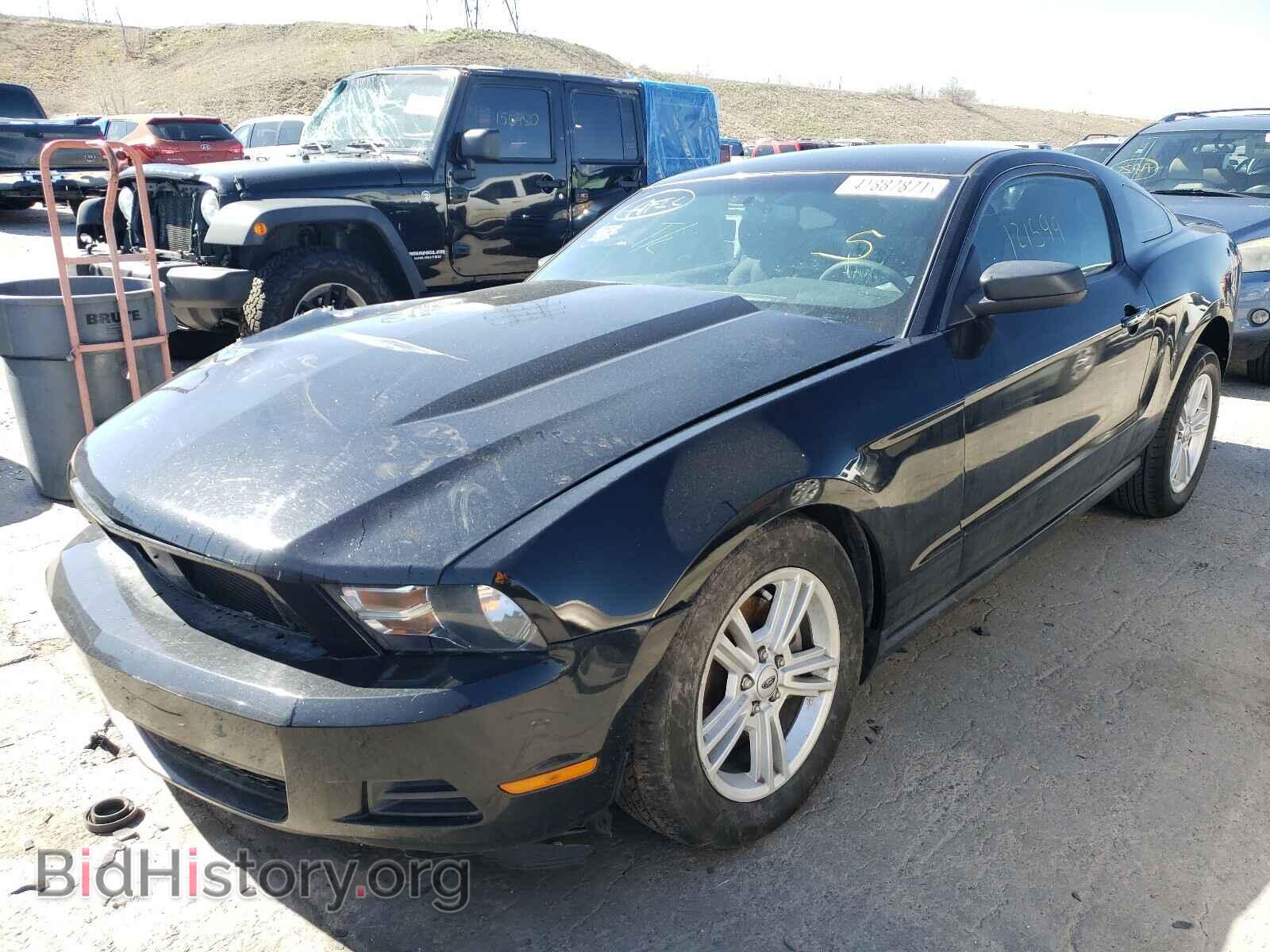 2012 FORD MUSTANG - VIN: 1ZVBP8AM3C5259090 - Фото 2