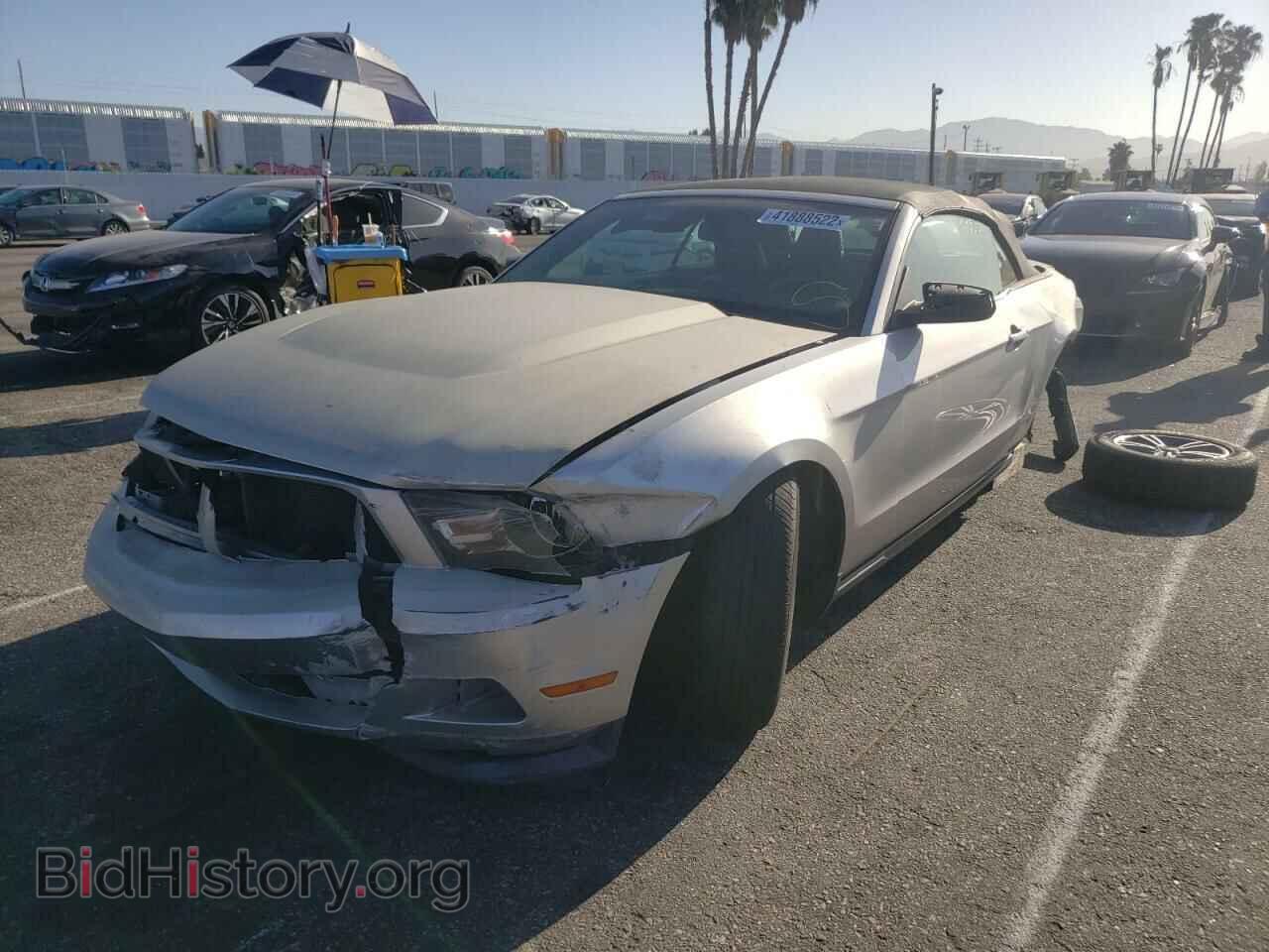 2012 FORD MUSTANG - VIN: 1ZVBP8EM9C5230459 - Фото 2