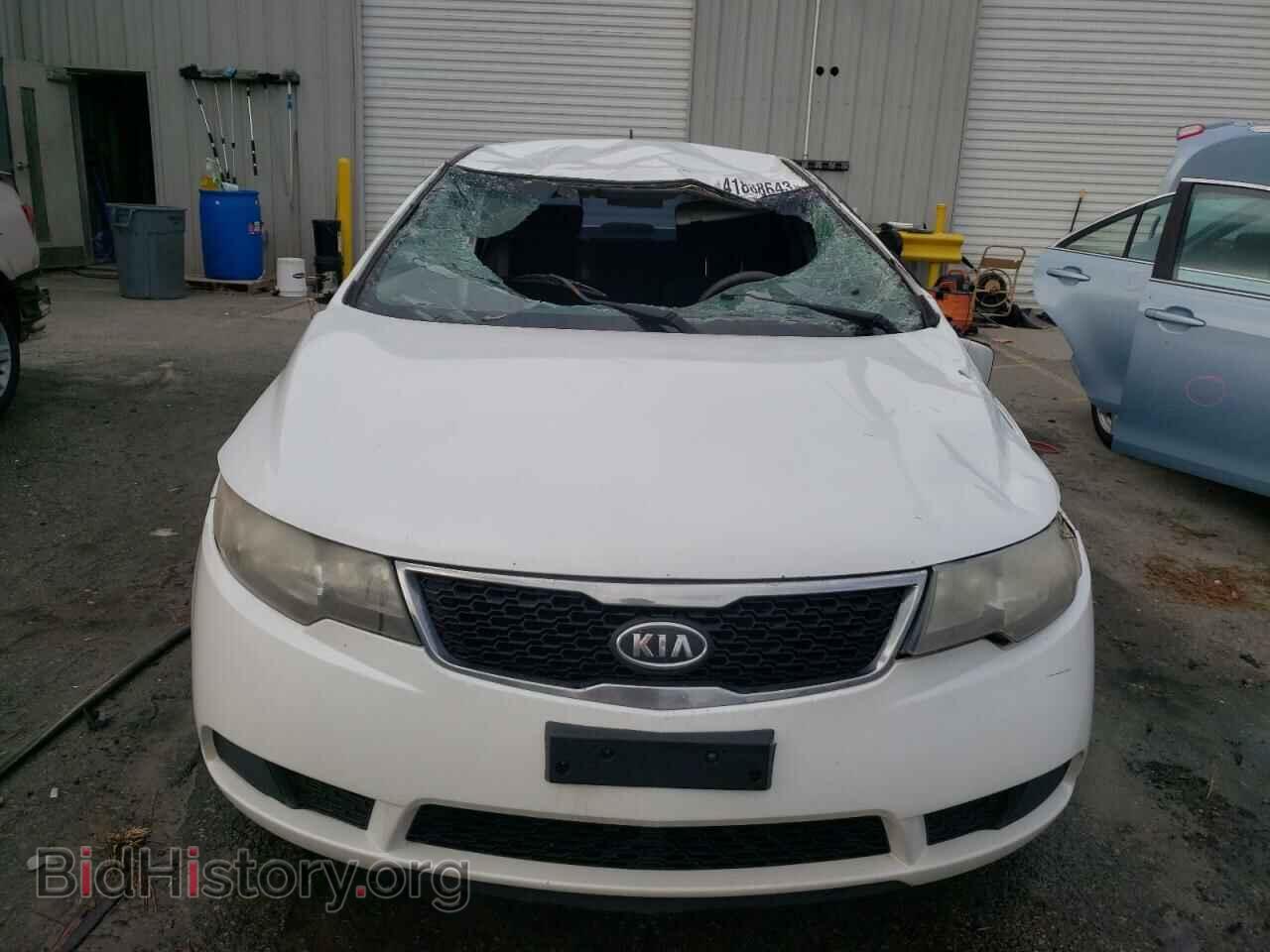 2012 KIA FORTE - VIN: KNAFU4A29C5469419 - Фото 5