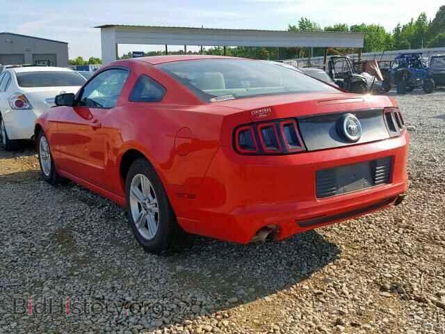 2014 FORD MUSTANG - VIN: 1ZVBP8AM2E5201233 - Фото 3