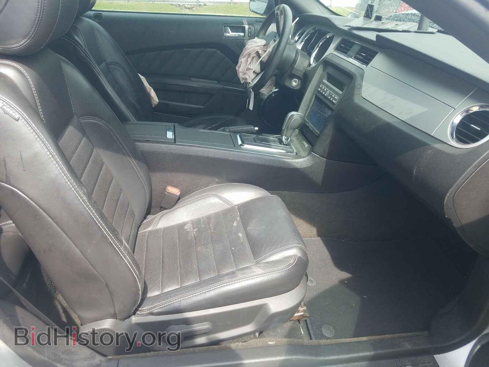 2013 FORD MUSTANG - VIN: 1ZVBP8CF0D5256423 - Фото 5