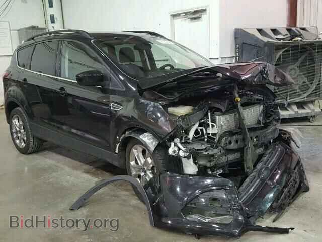 Фотография 1FMCU0GX9EUE10523 - FORD ESCAPE 2014