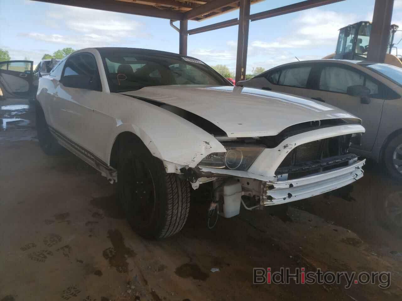 Photo 1ZVBP8AMXD5232132 - FORD MUSTANG 2013
