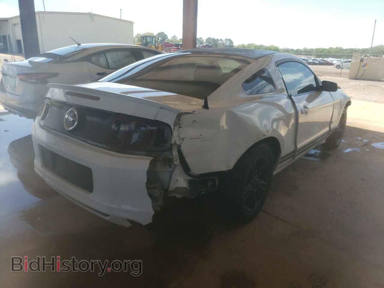 2013 FORD MUSTANG - VIN: 1ZVBP8AMXD5232132 - Фото 4
